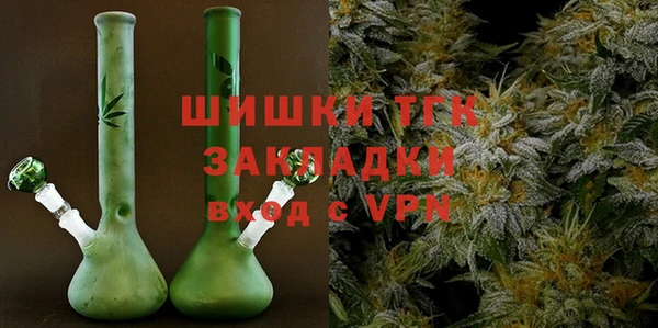 стаф Новокубанск