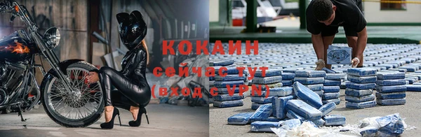 прущие грибы Нефтекумск