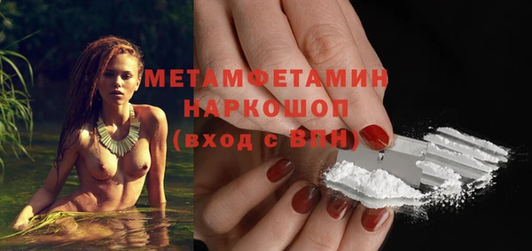 прущие грибы Нефтекумск