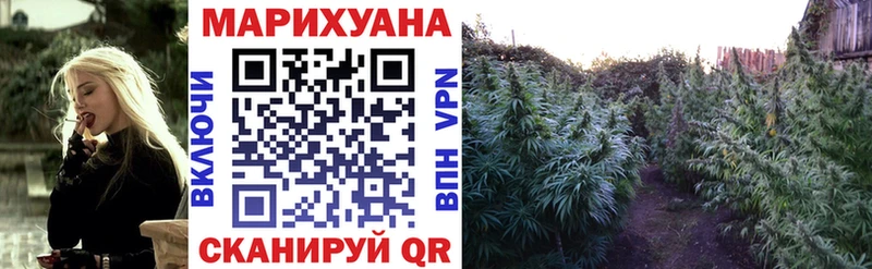 Шишки марихуана гибрид  Бабаево 